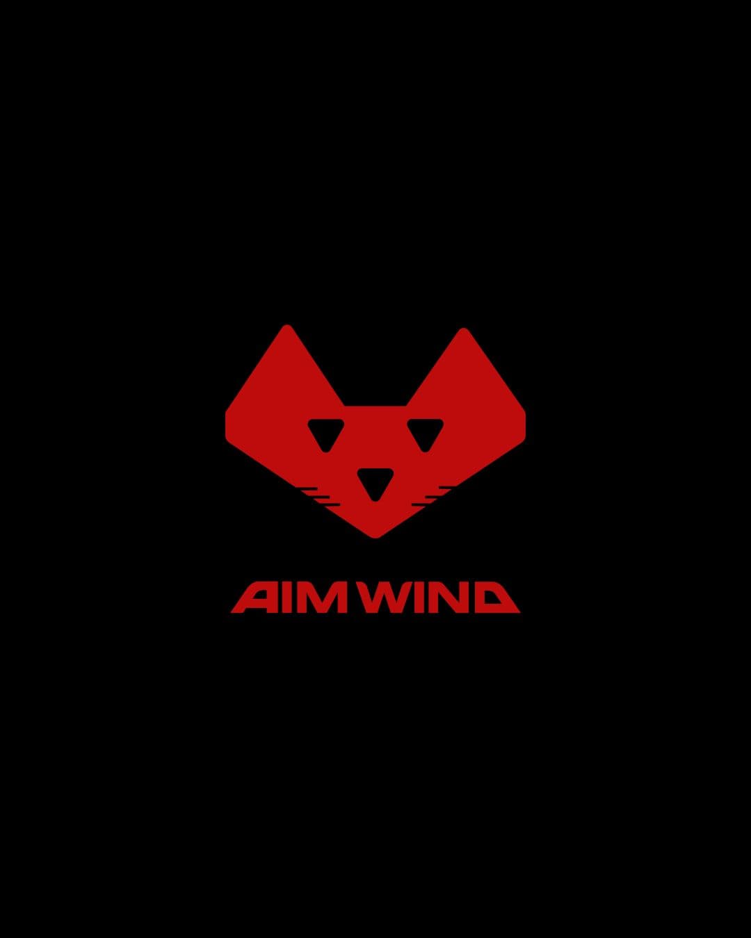 AIM WIND