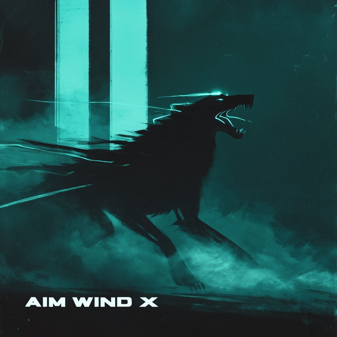 Cover of Run