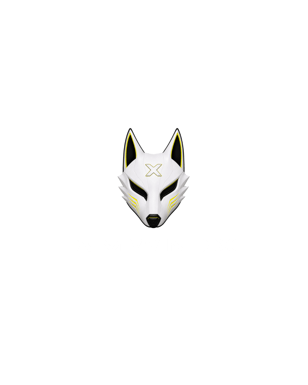 AIM WIND X